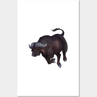 Cozy Cape Buffalo Posters and Art